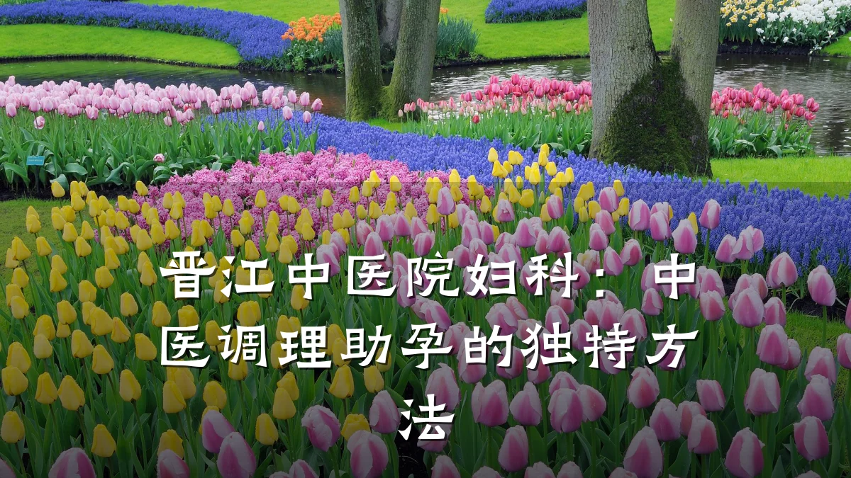 晋江中医院妇科：中医调理助孕的独特方法