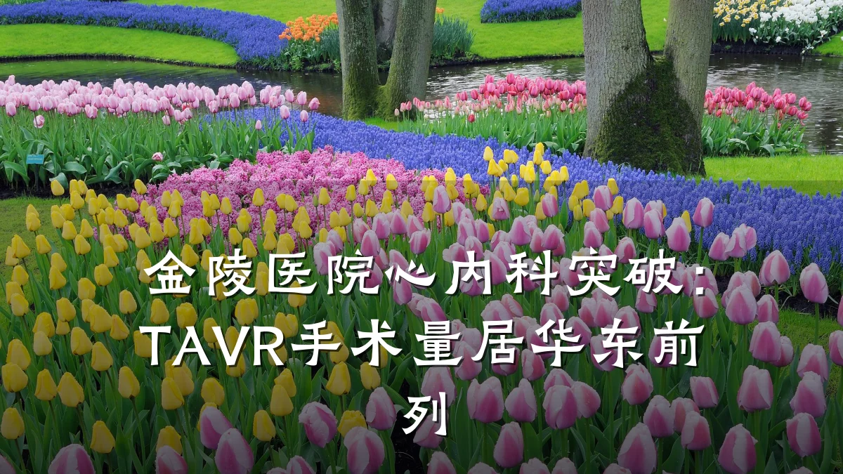 金陵医院心内科突破:TAVR手术量居华东前列