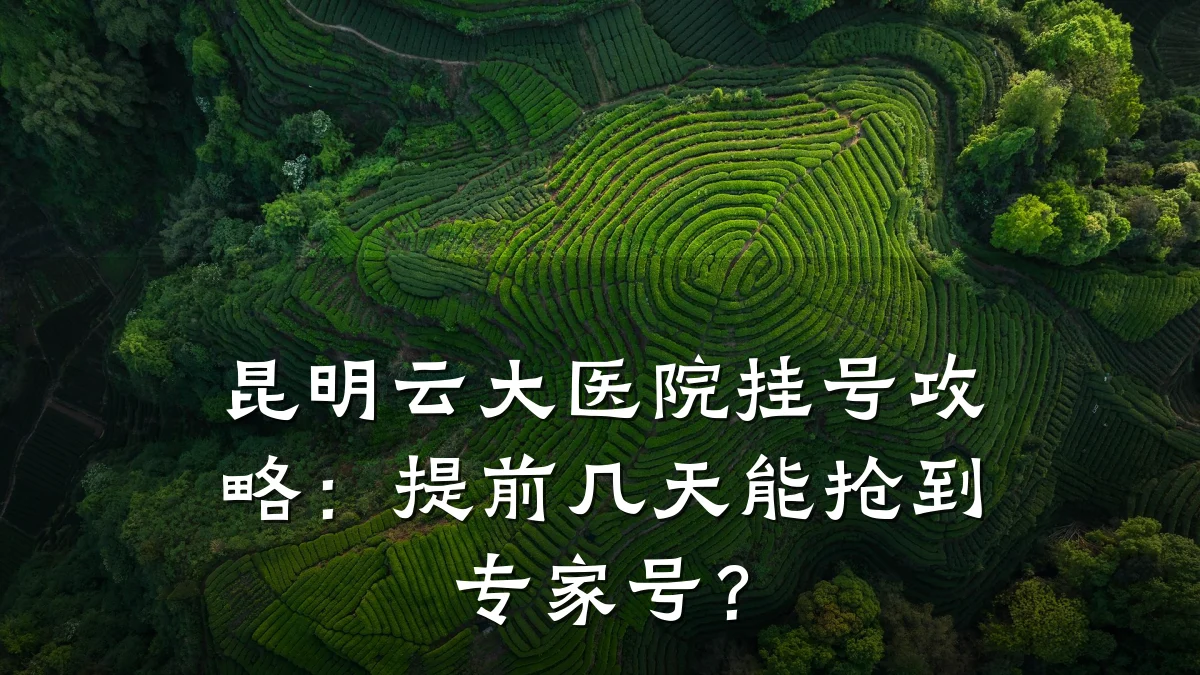 昆明云大医院挂号攻略:提前几天能抢到专家号?