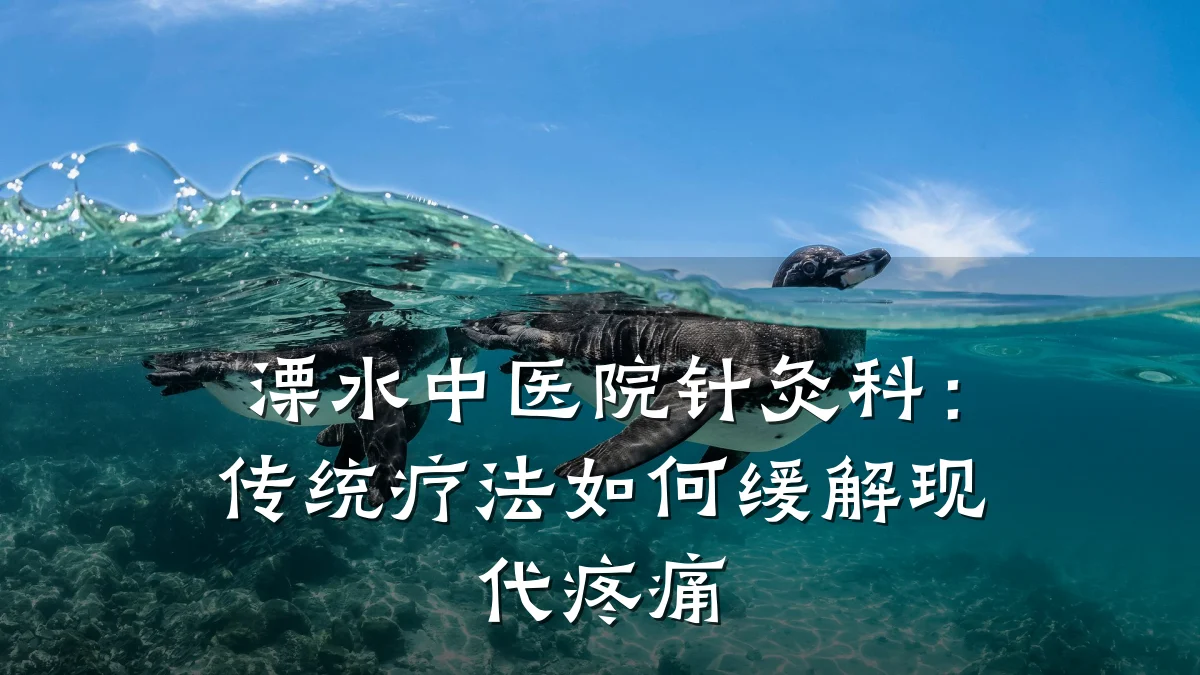 溧水中医院针灸科：传统疗法如何缓解现代疼痛