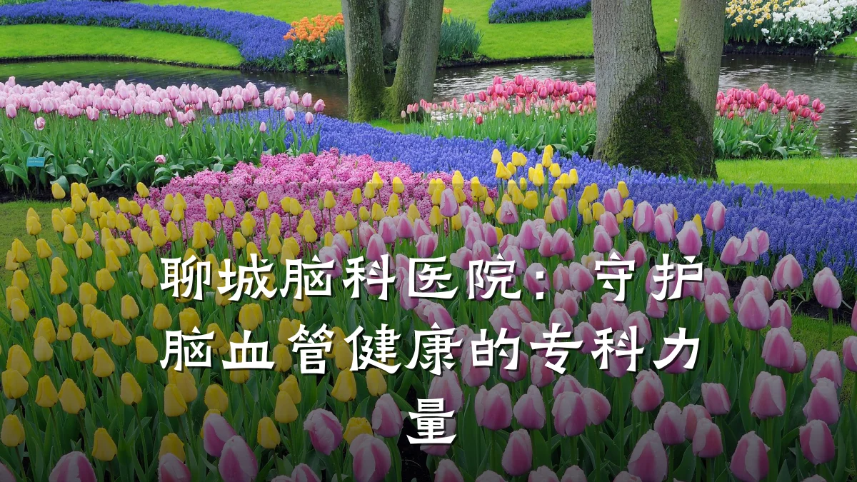 聊城脑科医院:守护脑血管健康的专科力量