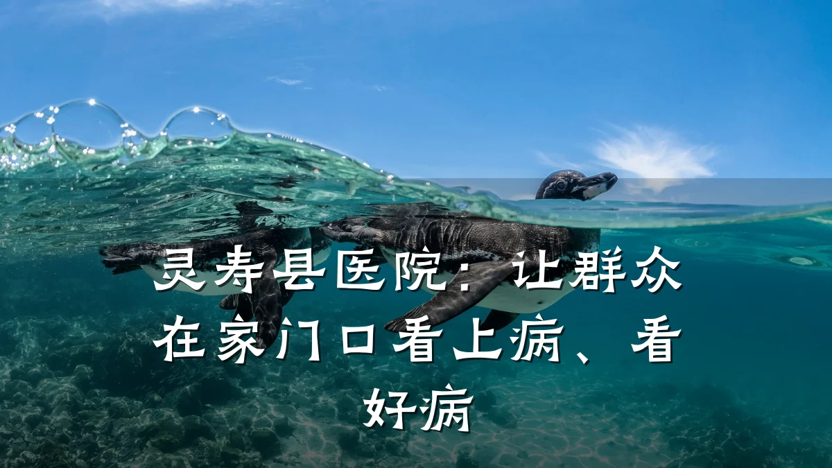 灵寿县医院:让群众在家门口看上病、看好病