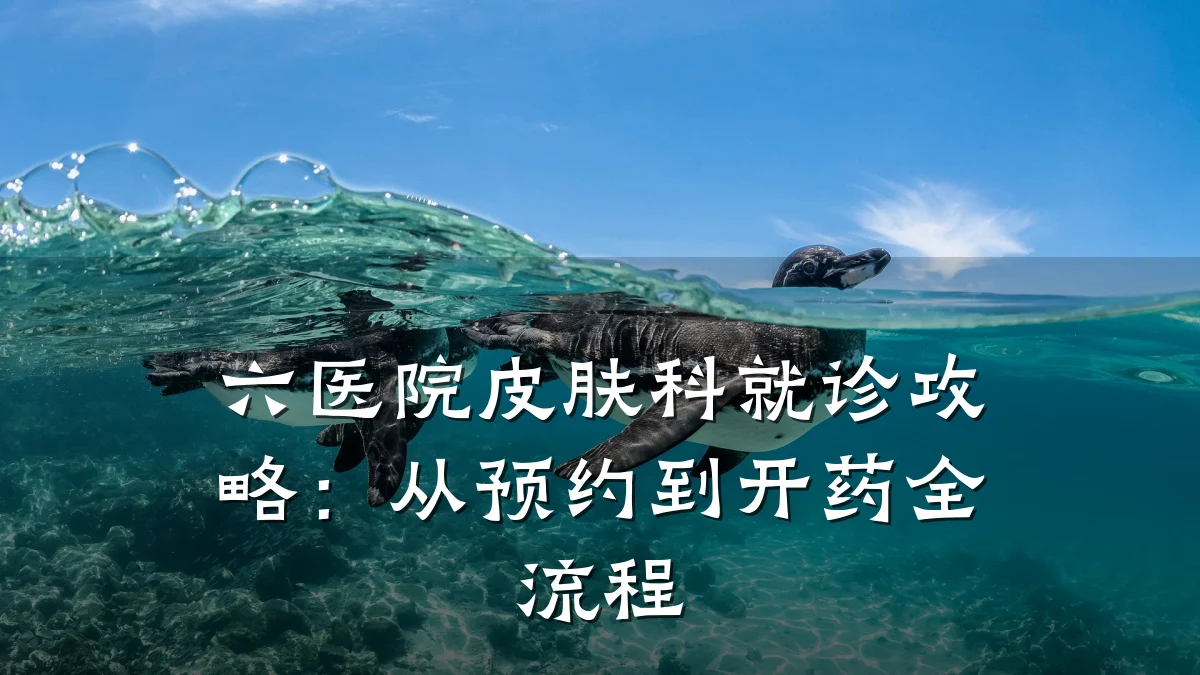 六医院皮肤科就诊攻略:从预约到开药全流程