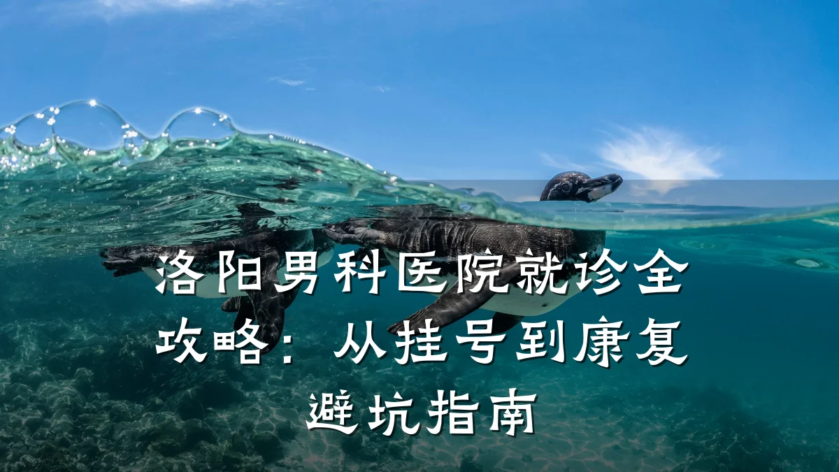 洛阳男科医院就诊全攻略:从挂号到康复避坑指南
