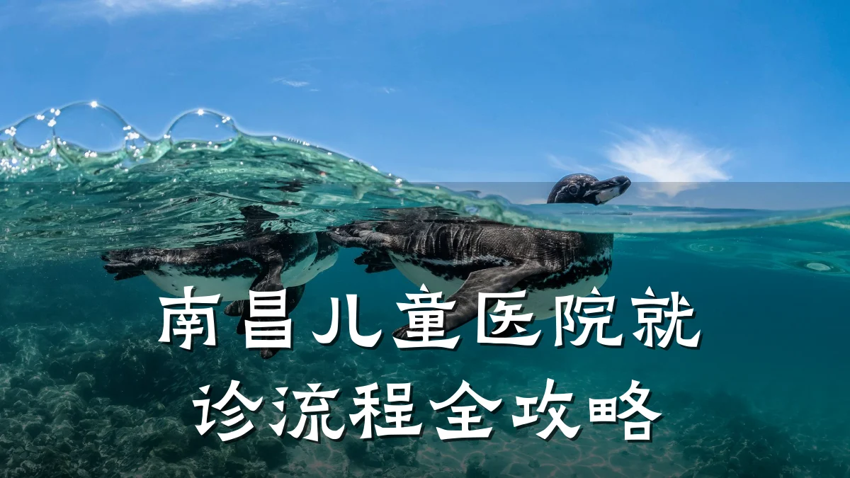南昌儿童医院就诊流程全攻略