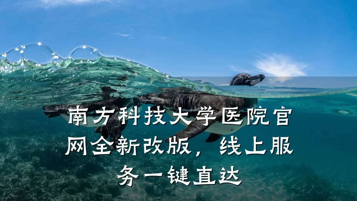 南方科技大学医院官网全新改版,线上服务一键直达