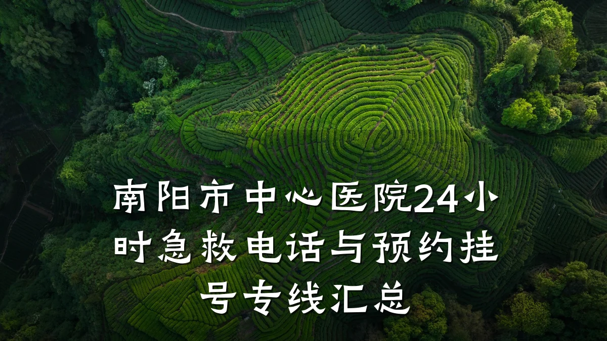 南阳市中心医院24小时急救电话与预约挂号专线汇总