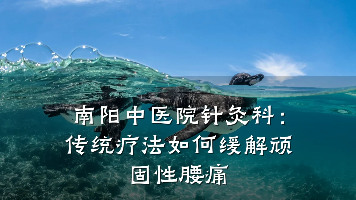 南阳中医院针灸科:传统疗法如何缓解顽固性腰痛