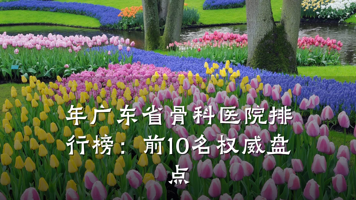 年广东省骨科医院排行榜：前10名权威盘点