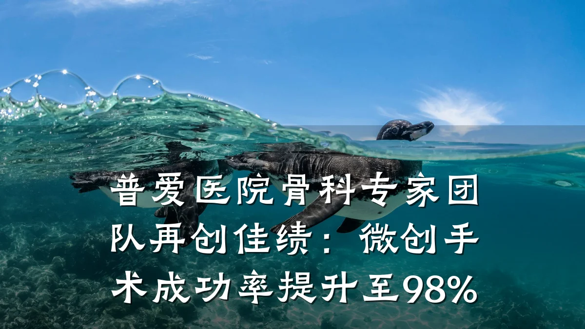 普爱医院骨科专家团队再创佳绩:微创手术成功率提升至98%