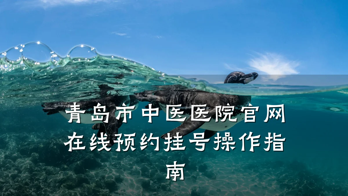 青岛市中医医院官网在线预约挂号操作指南