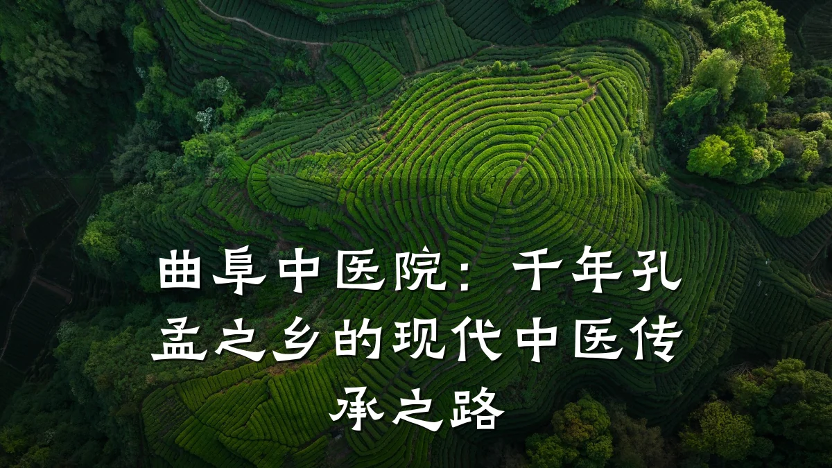 曲阜中医院:千年孔孟之乡的现代中医传承之路