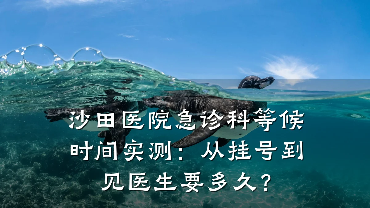 沙田医院急诊科等候时间实测:从挂号到见医生要多久?