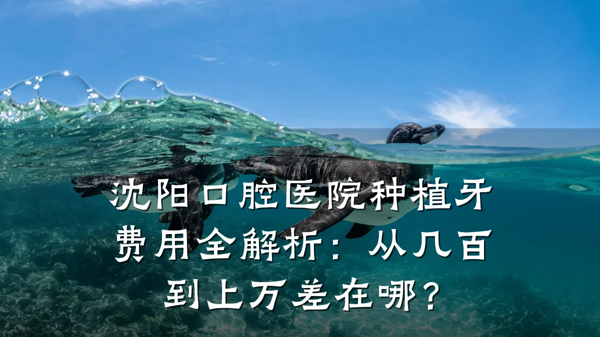 沈阳口腔医院种植牙费用全解析:从几百到上万差在哪?