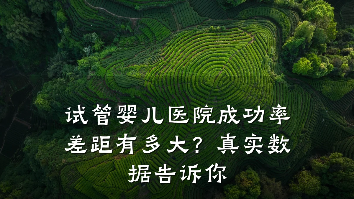 试管婴儿医院成功率差距有多大?真实数据告诉你