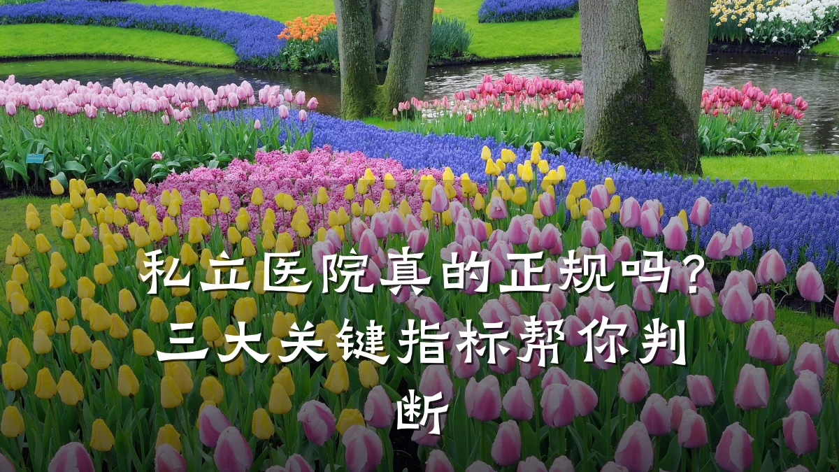 私立医院真的正规吗?三大关键指标帮你判断
