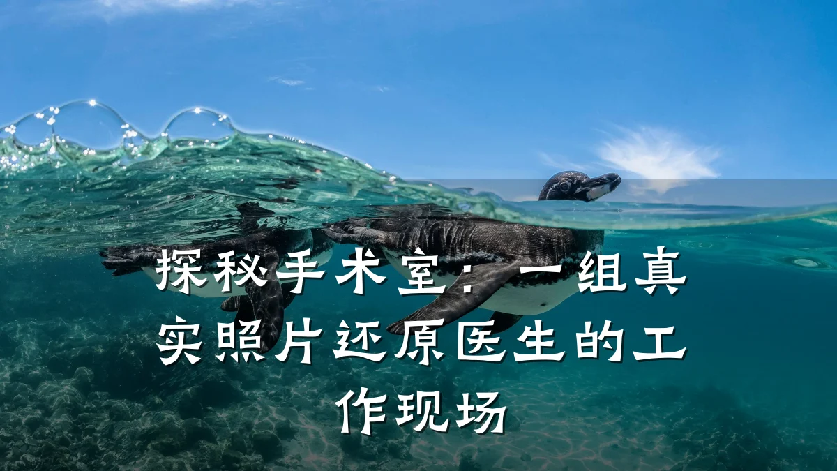 探秘手术室：一组真实照片还原医生的工作现场