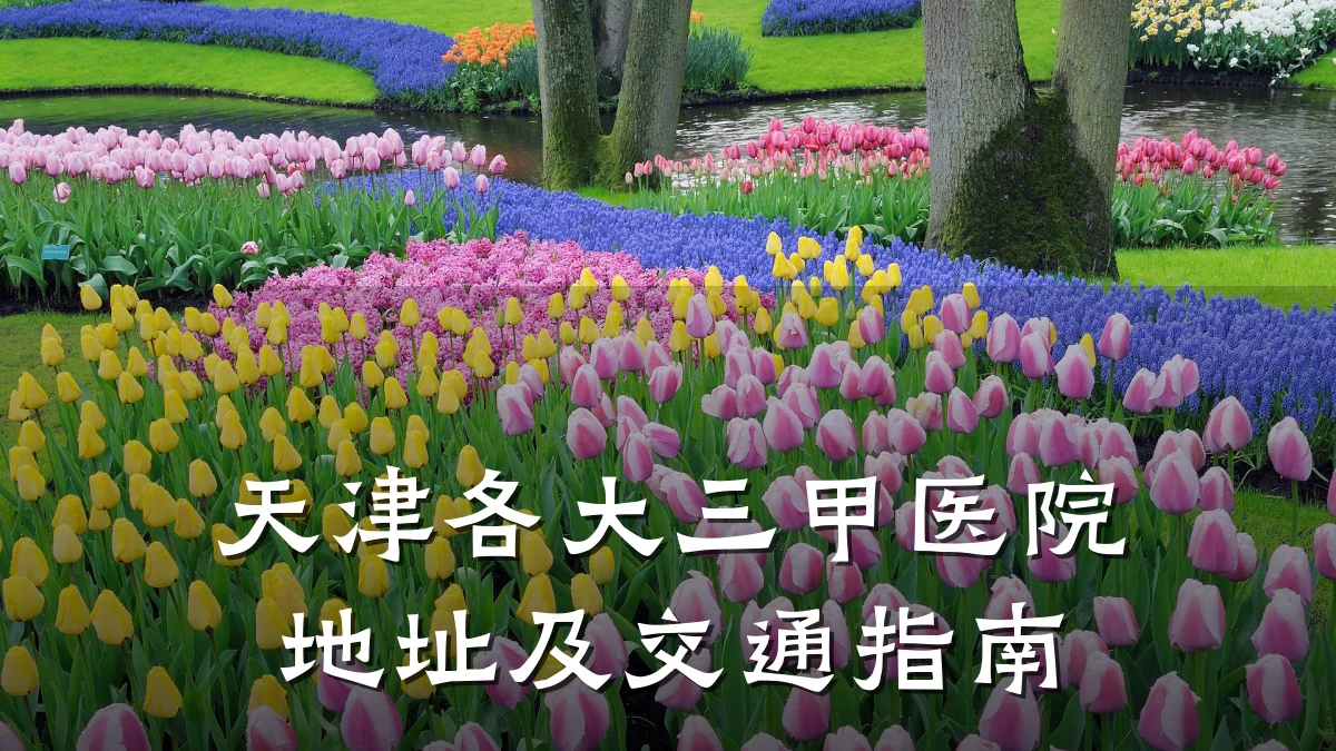 天津各大三甲医院地址及交通指南