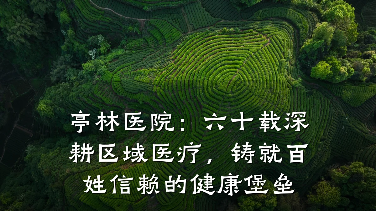 亭林医院:六十载深耕区域医疗,铸就百姓信赖的健康堡垒