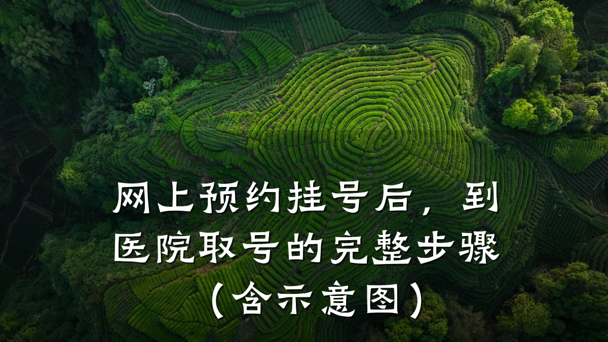 网上预约挂号后,到医院取号的完整步骤(含示意图)