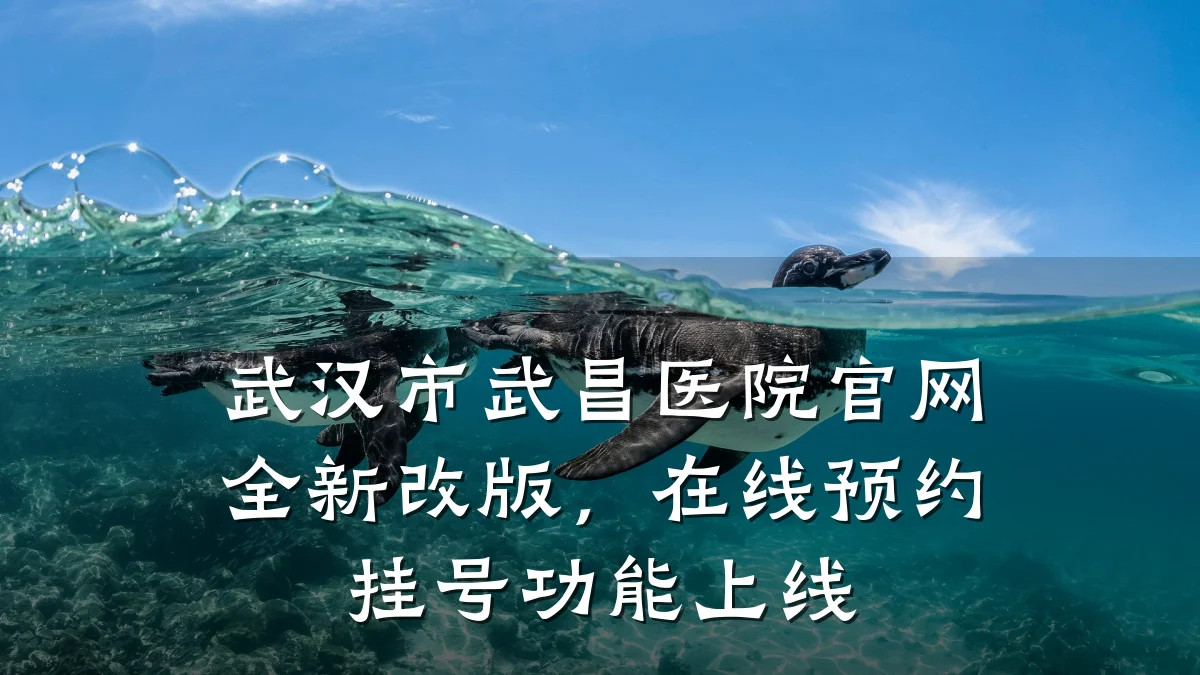 武汉市武昌医院官网全新改版,在线预约挂号功能上线