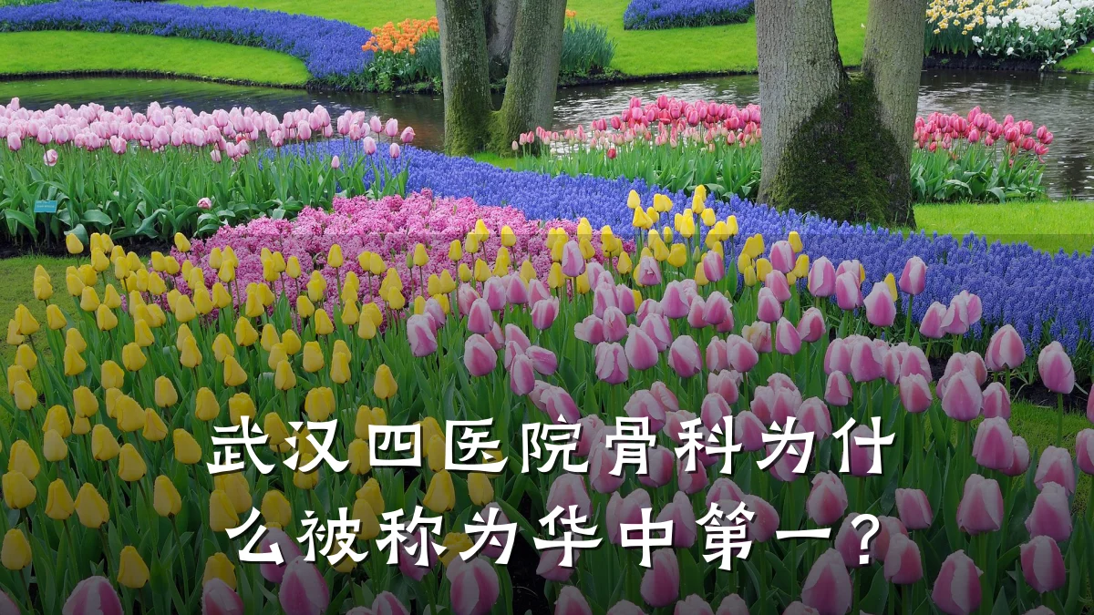 武汉四医院骨科为什么被称为华中第一？
