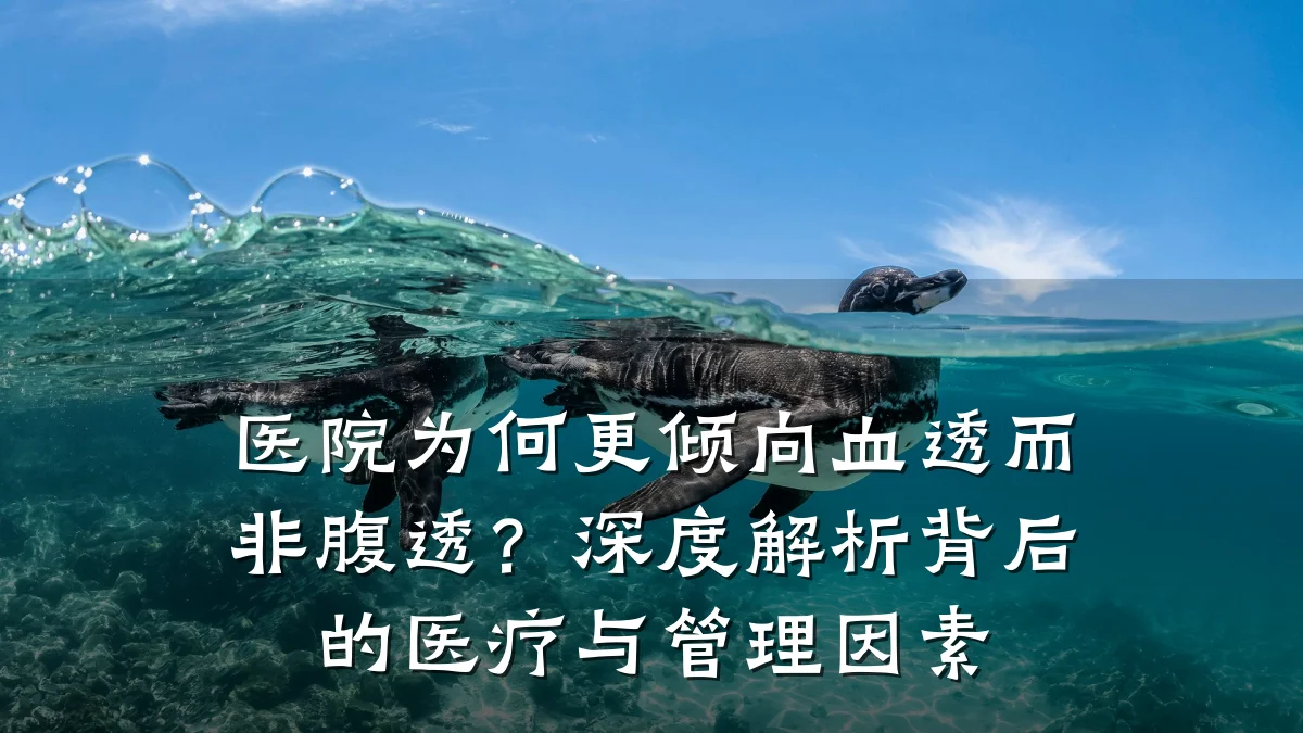 医院为何更倾向血透而非腹透?深度解析背后的医疗与管理因素