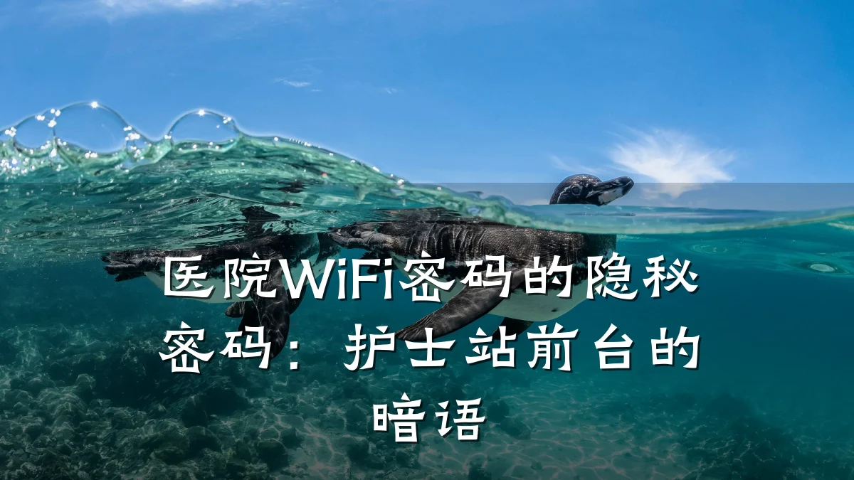 医院WiFi密码的隐秘密码:护士站前台的暗语