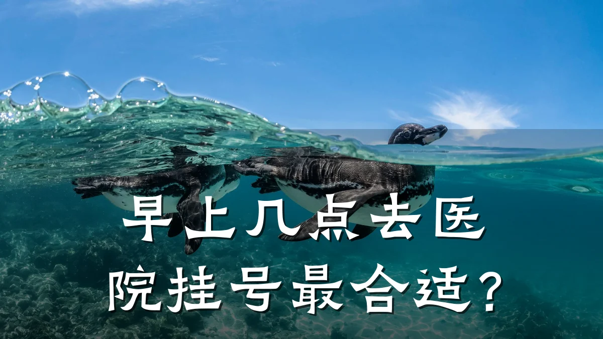 早上几点去医院挂号最合适?