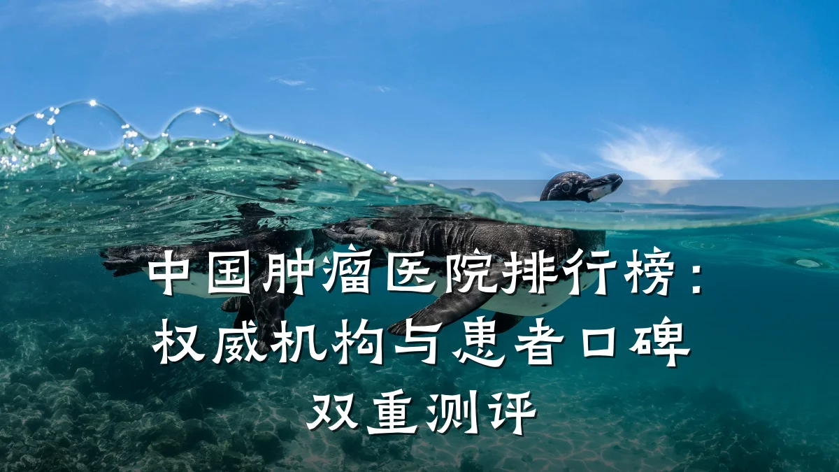 中国肿瘤医院排行榜：权威机构与患者口碑双重测评
