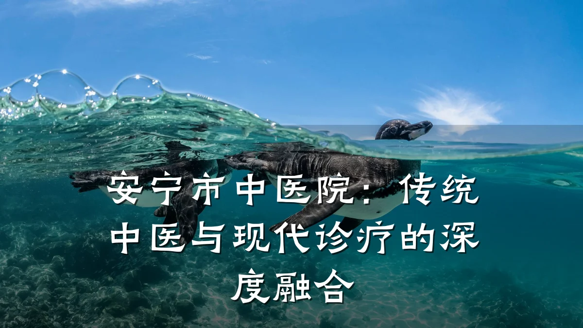 安宁市中医院:传统中医与现代诊疗的深度融合
