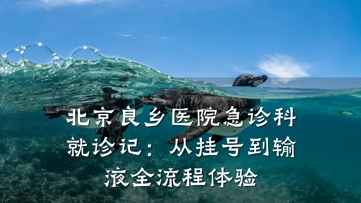 北京良乡医院急诊科就诊记：从挂号到输液全流程体验