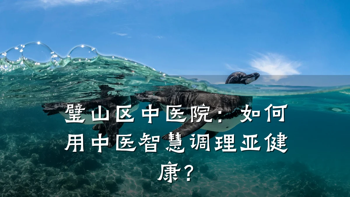 璧山区中医院：如何用中医智慧调理亚健康？
