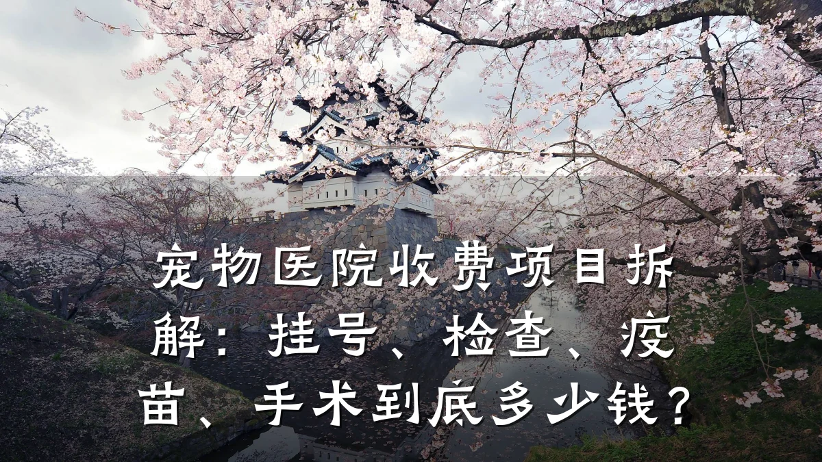 宠物医院收费项目拆解：挂号、检查、疫苗、手术到底多少钱？