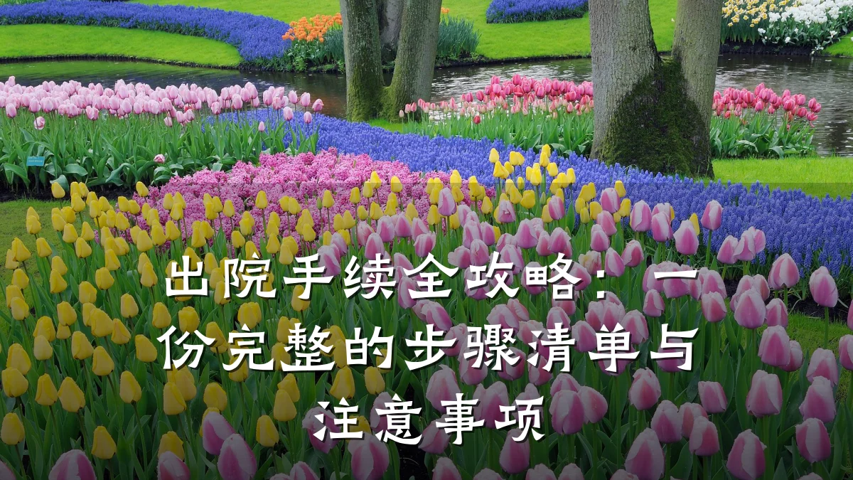 出院手续全攻略:一份完整的步骤清单与注意事项
