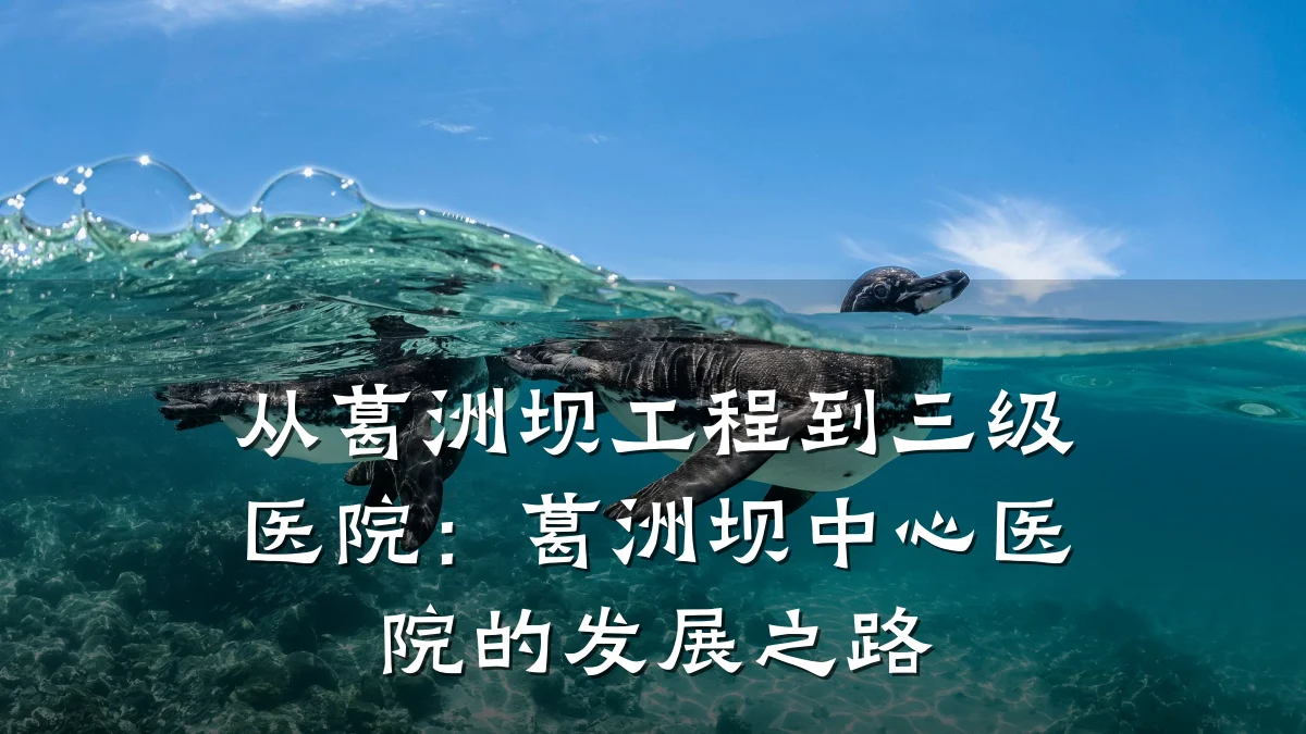 从葛洲坝工程到三级医院：葛洲坝中心医院的发展之路