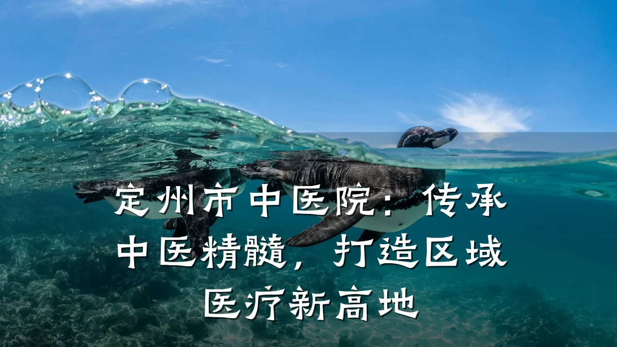 定州市中医院:传承中医精髓,打造区域医疗新高地