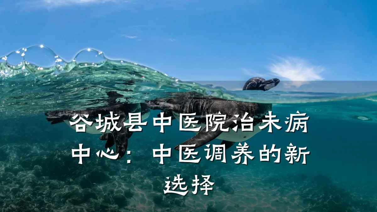 谷城县中医院治未病中心:中医调养的新选择