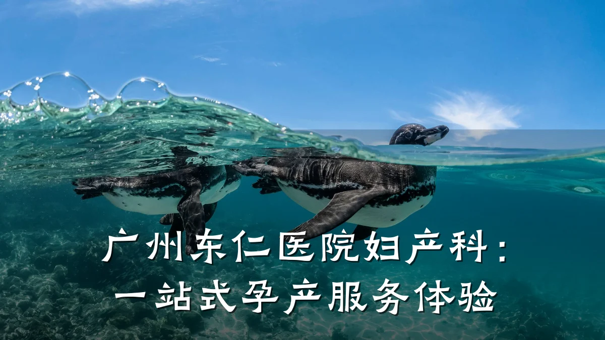 广州东仁医院妇产科:一站式孕产服务体验