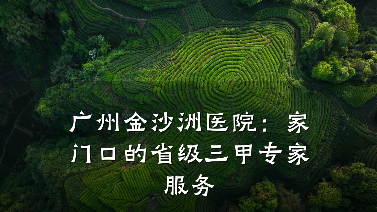 广州金沙洲医院:家门口的省级三甲专家服务
