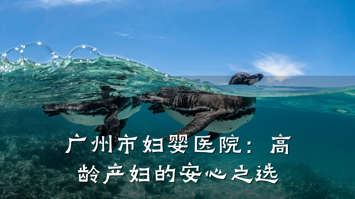 广州市妇婴医院：高龄产妇的安心之选