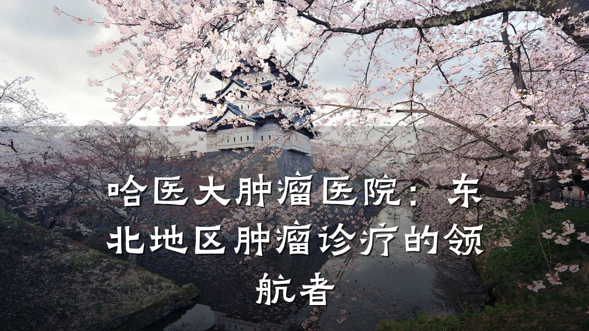 哈医大肿瘤医院:东北地区肿瘤诊疗的领航者