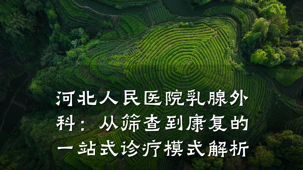 河北人民医院乳腺外科:从筛查到康复的一站式诊疗模式解析