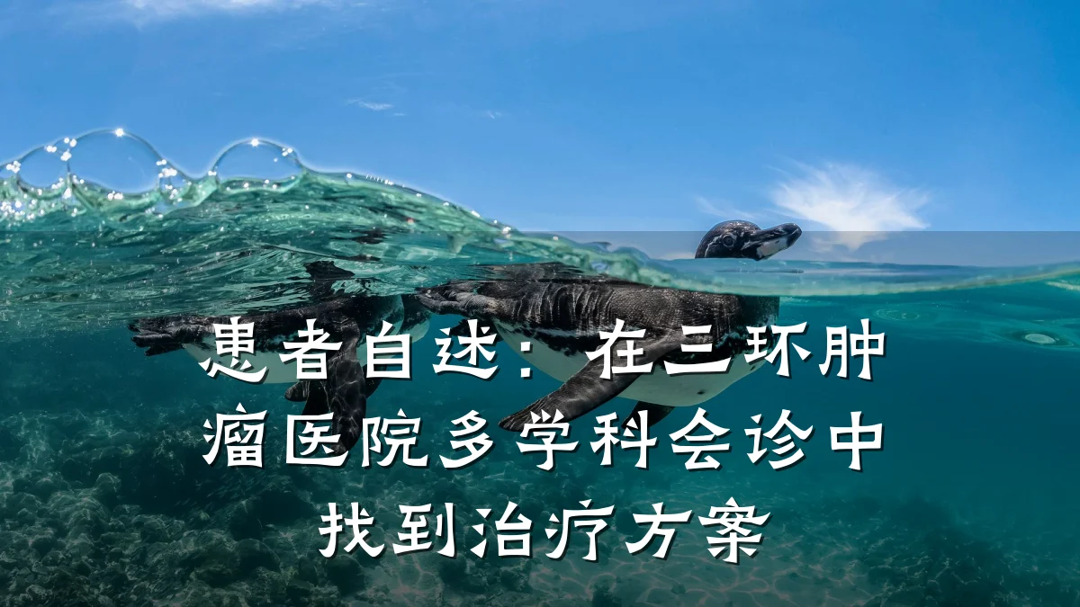 患者自述:在三环肿瘤医院多学科会诊中找到治疗方案