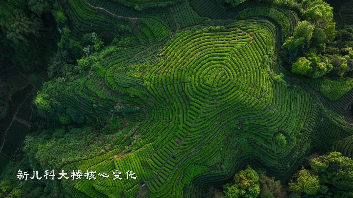 新儿科大楼核心变化