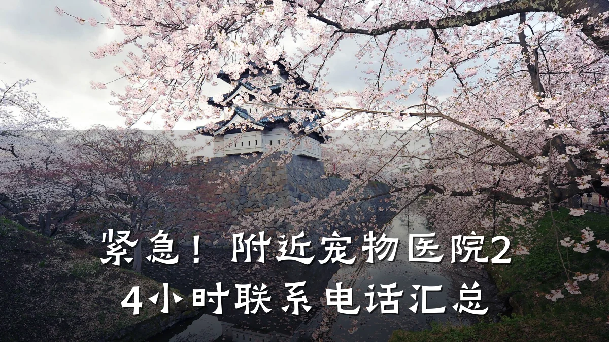 紧急!附近宠物医院24小时联系电话汇总