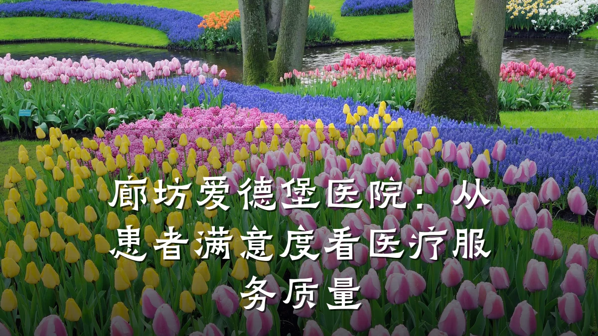 廊坊爱德堡医院:从患者满意度看医疗服务质量