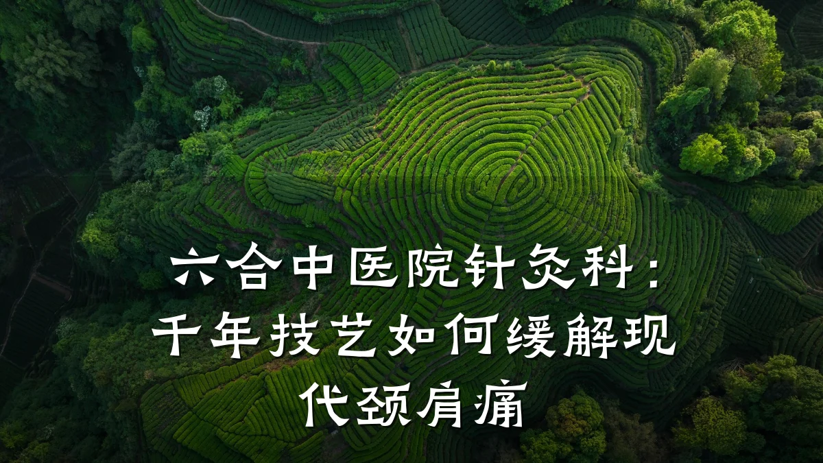 六合中医院针灸科：千年技艺如何缓解现代颈肩痛