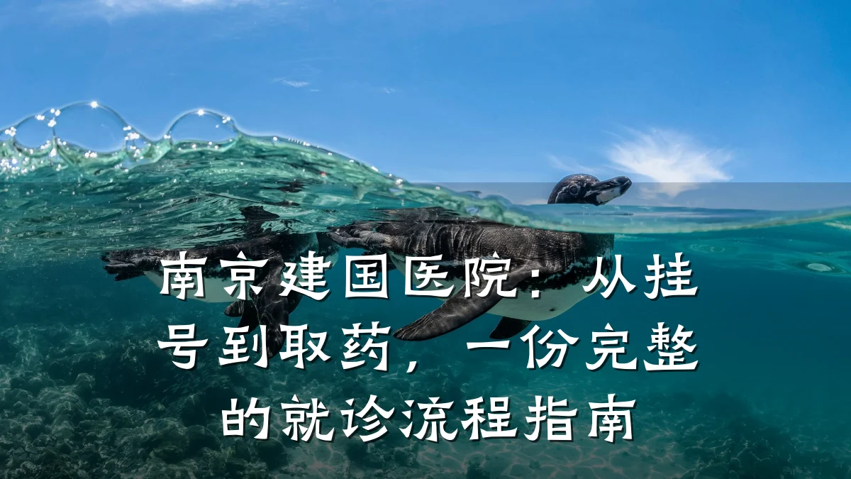 南京建国医院：从挂号到取药，一份完整的就诊流程指南