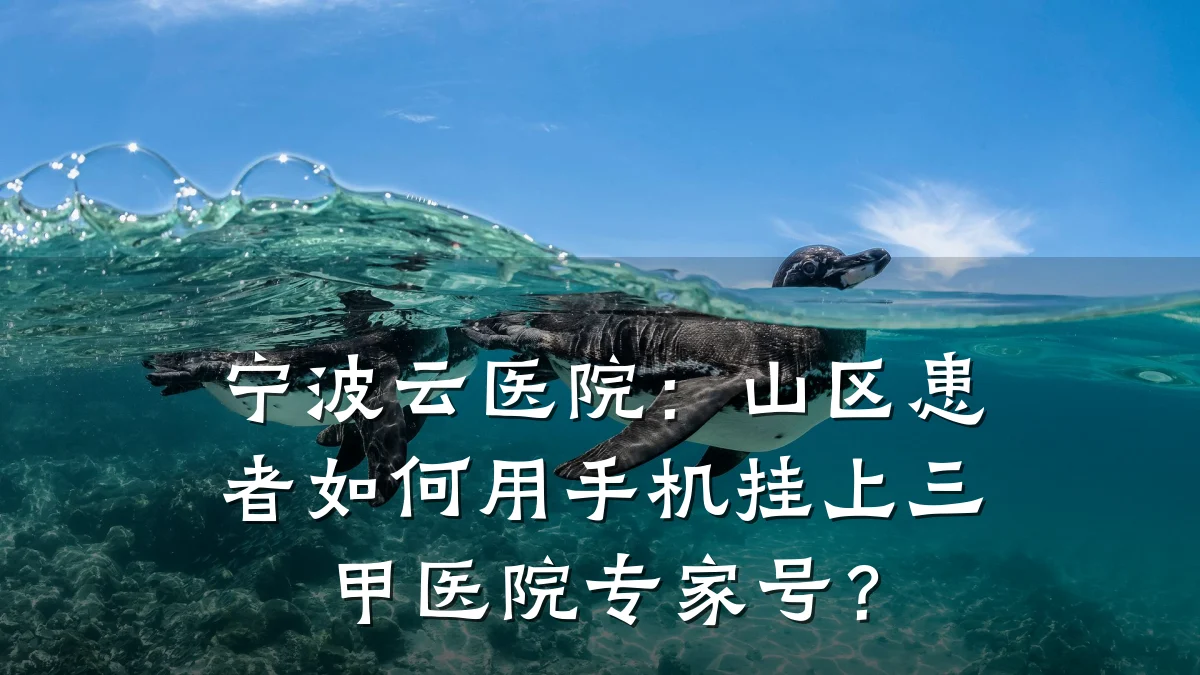 宁波云医院:山区患者如何用手机挂上三甲医院专家号?